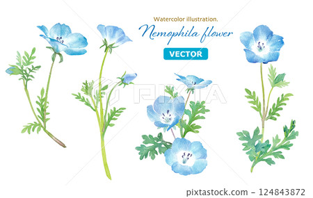 春天的花朵：粉蝶花水彩插圖。各式切花。 （向量。花朵和葉子位於不同的圖層上） 124843872