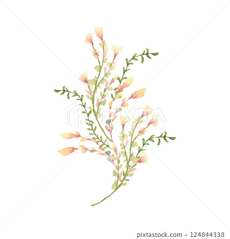 Snapdragon watercolor floral element in soft peach yellow tones isolated on white. Wildflowers bunch small flowers hand drawn botanical sketch. Fresh spring design for greeting card, stationery. 124844338