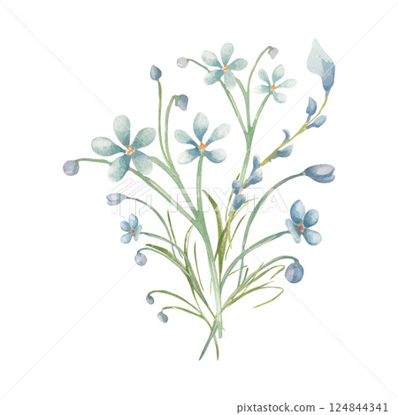 Blue eyed grass, bunch of wildflowers watercolor pastel tones isolated white. Tiny flowers minimalist botanical art, stems, petals and bud drawing. Cottagecore aesthetic for greeting card, stationery. Blue eyed grass, bunch of wildflowers watercolor pastel tones isolated white. Tiny flowers minimalist botanical art, stems, petals and bud drawing. Cottagecore aesthetic for greeting card, stationery. 124844341