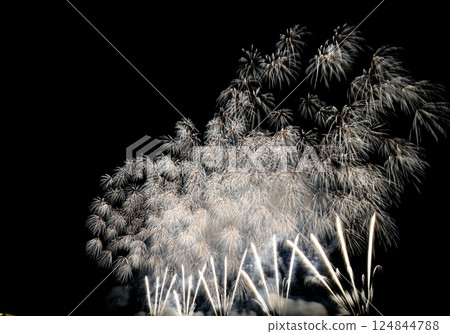 Colorful fireworks burst into the night sky 124844788