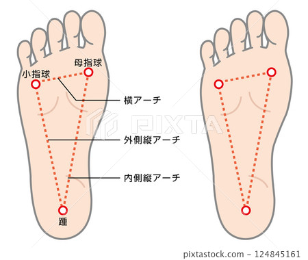 足弓的插圖 足弓的插圖 124845161