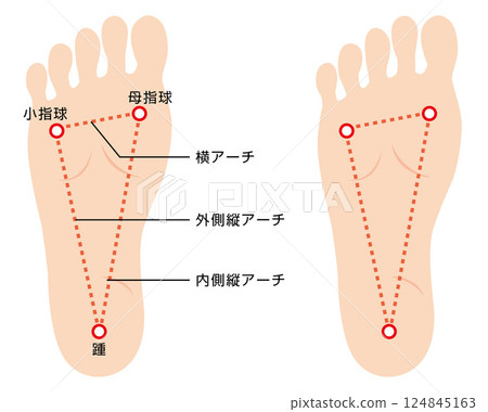 足弓的插圖 足弓的插圖 124845163