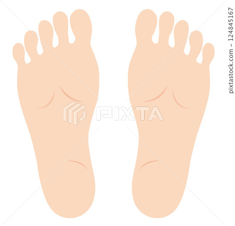 Illustration of the soles of the feet Illustration of the soles of the feet 124845167