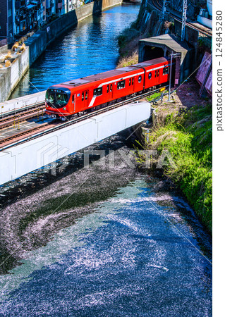 日本東京城市景觀的新景觀。花筏和丸之內線 2000 系列列車從御茶水站前的聖橋駛過。一生難得一見的景象… 124845280