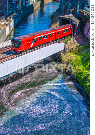 日本東京城市景觀的新景觀。花筏和丸之內線 2000 系列列車從御茶水站前的聖橋駛過。一生難得一見的景象… 124845281