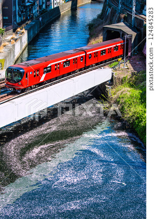日本東京城市景觀的新景觀。花筏和丸之內線 2000 系列列車從御茶水站前的聖橋駛過。一生難得一見的景象… 124845283