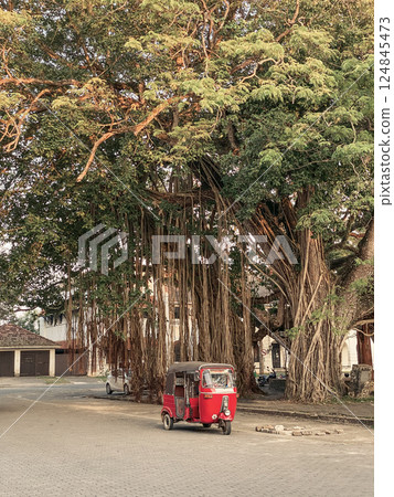 Traditional transport of Sri Lanka Tuktuk taxi 124845473
