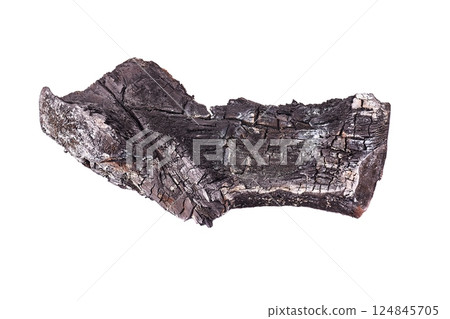 Burt, charred black wood piece Burt, charred black wood piece 124845705