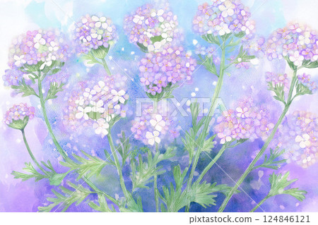 Sweet Alyssum *Spring flower background material 124846121
