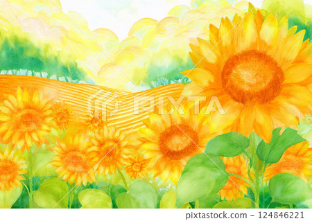 向日葵*夏季花卉背景材料 124846221