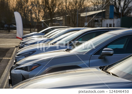 Cars Parked in a row Cars Parked in a row 124846450