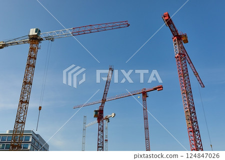 Tall Construction Cranes 124847026