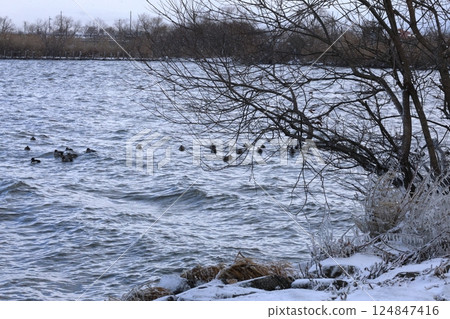 Lake Biwa and Spray Ice 124847416