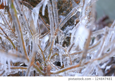 潑冰 潑冰 124847481