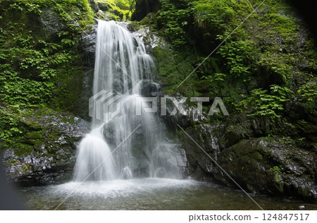 夏季奧秩父市尾之內溪谷第一瀑布 124847517