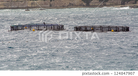 Fish Farming Cages Floating at Sea 124847907
