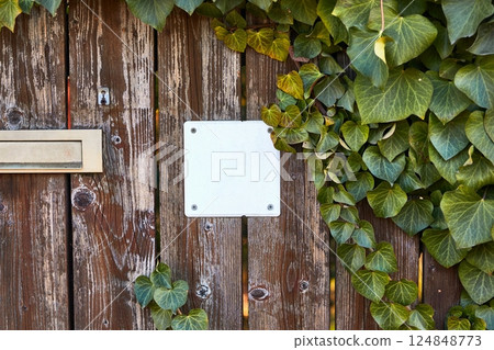 Wooden fence, blank house number, ivy 124848773