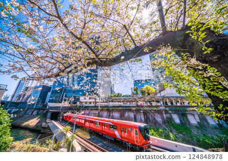 Tokyo cityscape in Japan with CBTC system...Tokyo Metro Marunouchi Line new train 2000 series, Ochanomizu Station, cherry blossoms, etc. 124848978