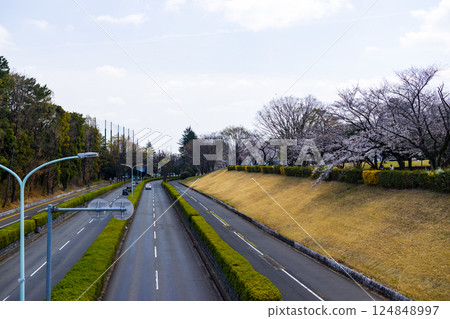 Tokorozawa City: View of Aviation Park Street 124848997