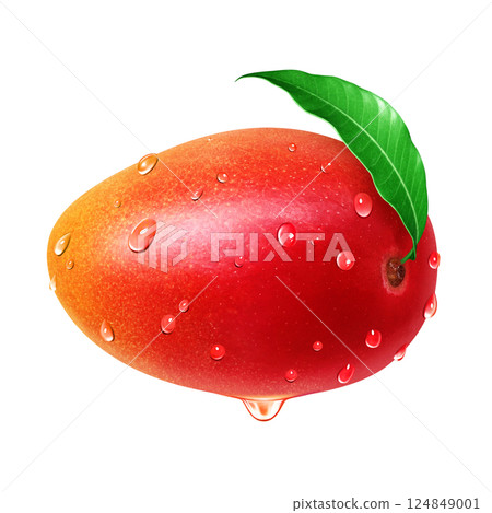 Mango illustration realistic white background 124849001