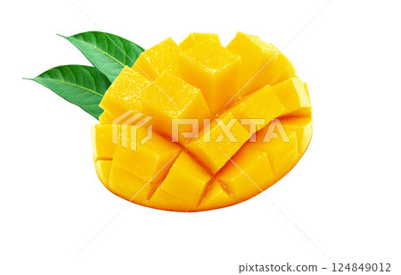 芒果插圖逼真的白色背景 124849012