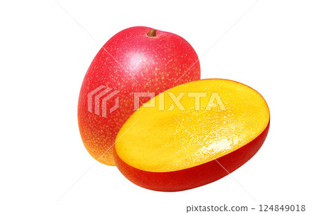 Mango illustration realistic white background 124849018
