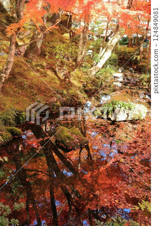 京都嵐山常寂光寺的秋葉 京都嵐山常寂光寺的秋葉 124849081