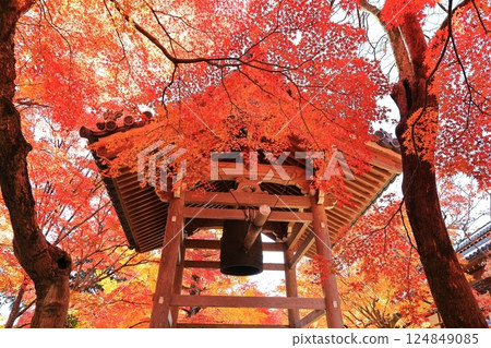 京都嵐山常寂光寺的秋葉 124849085