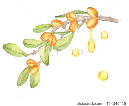 A watercolor illustration of an argan branch dripping golden oil with vibrant green leaves and orange fruits. Suitable for eco-friendly packaging, organic product labels, or wall art. 124849426
