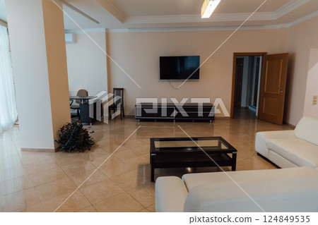 Interior of a bright living room with a TV and a sofa Interior of a bright living room with a TV and a sofa 124849535