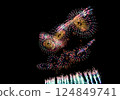 A series of colorful fireworks bursting into the midnight sky 124849741