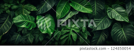 Background: green tropical leaves Background: green tropical leaves 124850054