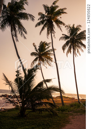 Coastal tropical landscape with palm trees against sunset backdrop. Ocean waves crash onto rocky shores beneath silhouetted palms. World Ocean Day. 124850822