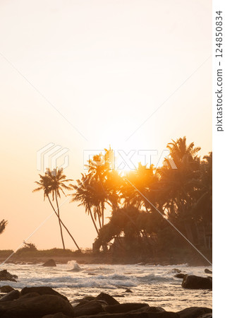 Summer island palm tree sea sand beach. Panoramic beach landscape. Inspire tropical nature seascape horizon. Orange golden sunset. Tranquil shore relax beachfront resort. Vacation travel Summer island palm tree sea sand beach. Panoramic beach landscape. Inspire tropical nature seascape horizon. Orange golden sunset. Tranquil shore relax beachfront resort. Vacation travel 124850834