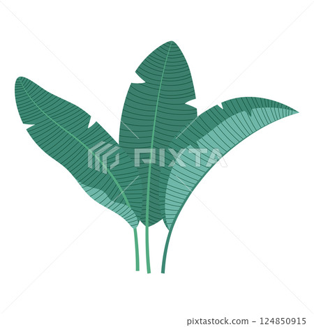 banana leaves isolated, flat style banana leaves isolated, flat style 124850915