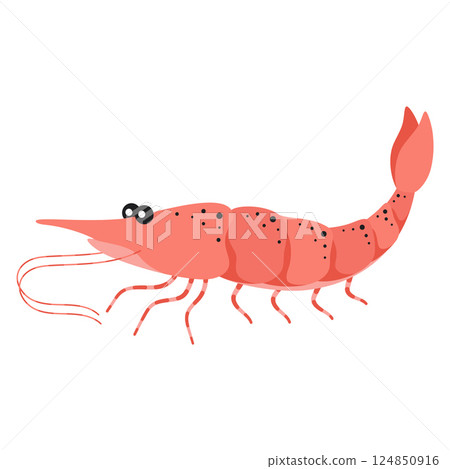 shrimp isolated, flat style 124850916