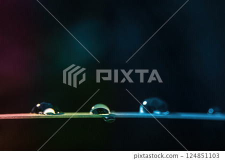 Screensaver difocus colored dew drops with highlights on the leaf. Soft focus on the entire image 124851103