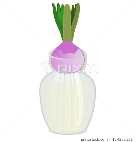 Illustration of hyacinth growing in water Illustration of hyacinth growing in water 124851131