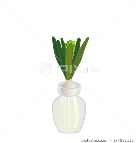 Illustration of hyacinths growing in water with buds Illustration of hyacinths growing in water with buds 124851132