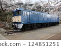 Railway Heritage and Spring Feast 124851251