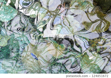 水反射圖案背景材料 124851672