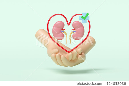 3d hands holding kidney human with heart, cross, check mark isolated on green background. check kidney health, organs concept, world kidney day concept, 3d illustration render 124852086