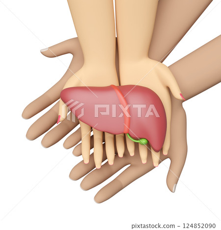 3d hand male female with human liver isolated. check liver health, world hepatitis day concept, top view, 3d illustration render 3d hand male female with human liver isolated. check liver health, world hepatitis day concept, top view, 3d illustration render 124852090