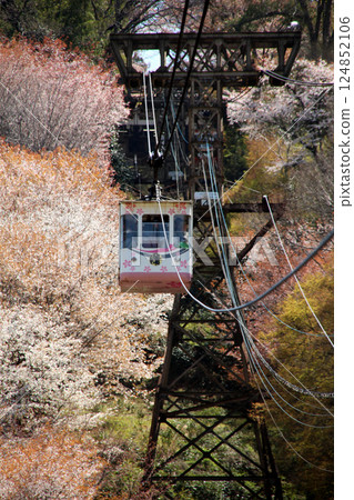 世界遺產：吉野山櫻花盛開與纜車 124852106