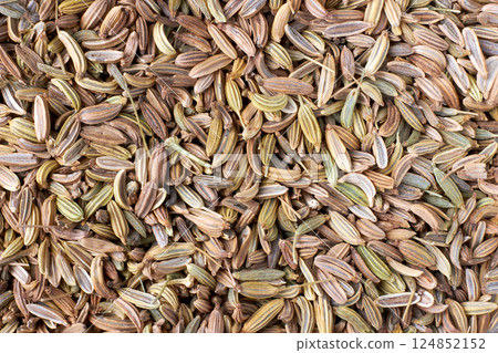 scattered fennel as a background for design. top view 124852152