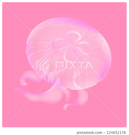 Moon jellyfish_pink Moon jellyfish_pink 124852176