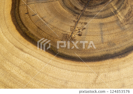 walnut trunk for the manufacture of interior details, processed walnut wood used for the manufacture walnut trunk for the manufacture of interior details, processed walnut wood used for the manufacture 124853576