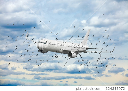 Passenger Airplane crossing path with flock of birds 124853972