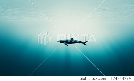 Pygmy right whale swimming underwater in a deep blue ocean with sun rays filtering through the surface, creating a tranquil and captivating underwater scene Pygmy right whale swimming underwater in a deep blue ocean with sun rays filtering through the surface, creating a tranquil and captivating underwater scene 124854759