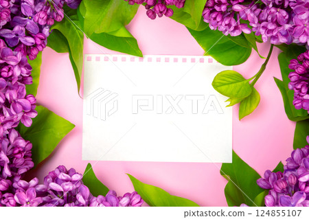 beautiful dark purple fresh lilac on the pink background, purple background 124855107